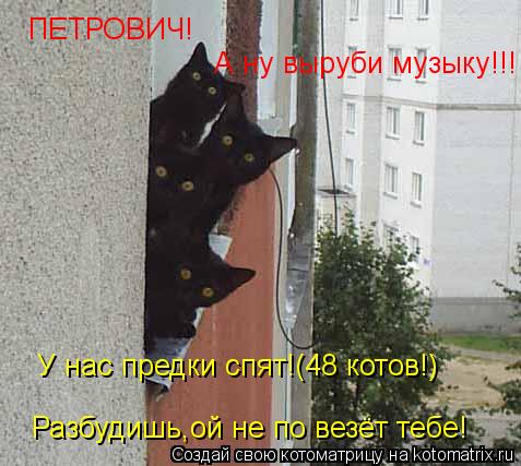 ПЕТРОВИЧ! А ну выруби музыку!!! У нас предки спят!(48 котов!) Разбудишь,ой не по везёт тебе!... Котоматрица: ПЕТРОВИЧ! А ну выруби музыку!!! У нас предки спят!(48 котов!) Разбудишь,ой не по везёт тебе!