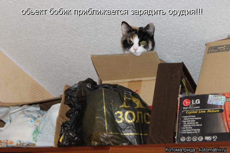 обьект бобик приближается зарядить орудия!!!... Котоматрица: обьект бобик приближается зарядить орудия!!!