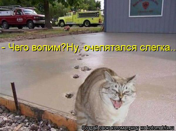 Котоматрица: - Чего вопим?Ну, очепятался слегка...