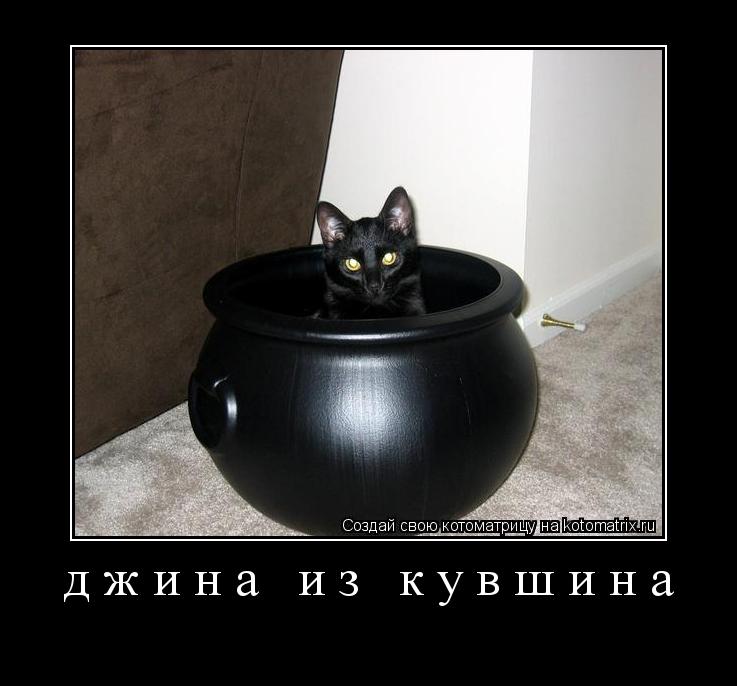 Котоматрица: джина из кувшина 