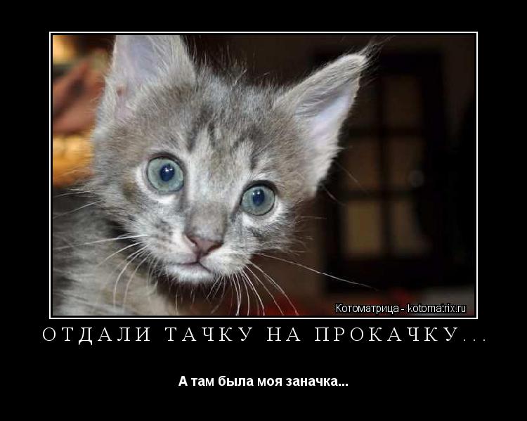 ОТДАЛИ ТАЧКУ НА ПРОКАЧКУ... А там была моя заначка...... Котоматрица: ОТДАЛИ ТАЧКУ НА ПРОКАЧКУ... А там была моя заначка...