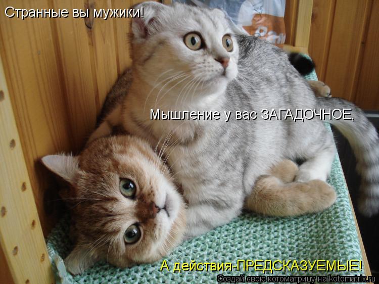 Странные вы мужики! Мышление у вас ЗАГАДОЧНОЕ, А действия-ПРЕДСКАЗУЕМЫЕ!... Котоматрица: Странные вы мужики! Мышление у вас ЗАГАДОЧНОЕ, А действия-ПРЕДСКАЗУЕМЫЕ!