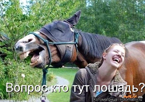 Вопрос кто тут лошадь?... Котоматрица: Вопрос кто тут лошадь?