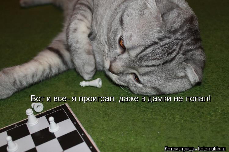 Вот и все- я проиграл, даже в дамки не попал!... Котоматрица: Вот и все- я проиграл, даже в дамки не попал!