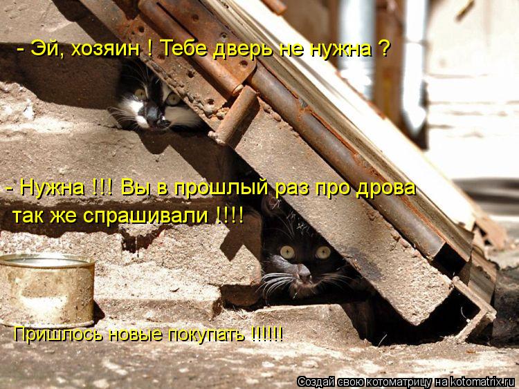 - Эй, хозяин ! Тебе дверь не нужна ? - Нужна !!! Вы в прошлый раз про дрова так же спрашивали !!!! Пр... Котоматрица: - Эй, хозяин ! Тебе дверь не нужна ? - Нужна !!! Вы в прошлый раз про дрова так же спрашивали !!!! Пришлось новые покупать !!!!!!