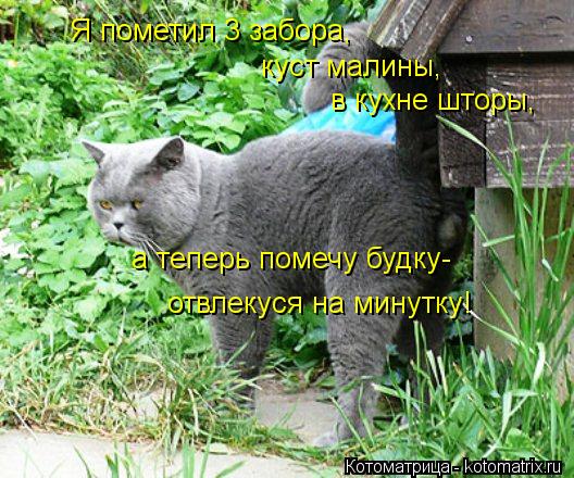 Я пометил 3 забора, куст малины, в кухне шторы, а теперь помечу будку- отвлекуся на минутку!... Котоматрица: Я пометил 3 забора, куст малины, в кухне шторы, а теперь помечу будку- отвлекуся на минутку!