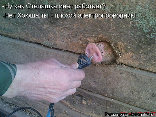 -Ну как Степашка,инет работает? -Нет Хрюша,ты - плохой электропроводник!... Котоматрица: -Ну как Степашка,инет работает? -Нет Хрюша,ты - плохой электропроводник!