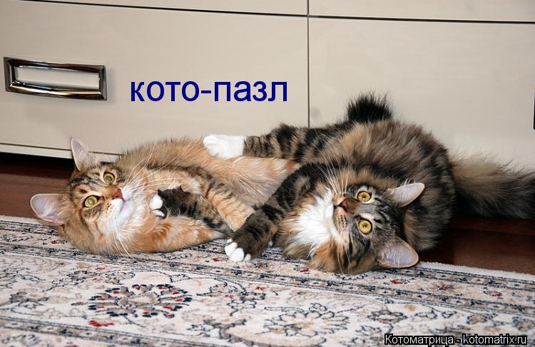 кото-пазл... Котоматрица: кото-пазл