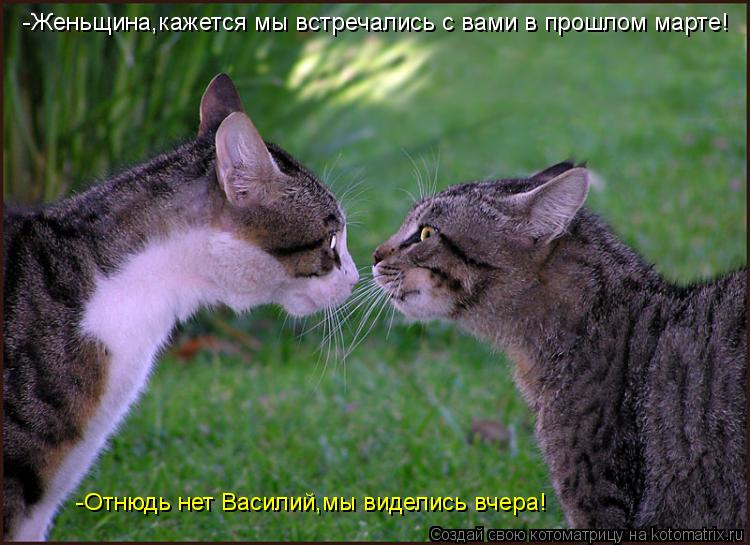 -Женьщина,кажется мы встречались с вами в прошлом марте! -Отнюдь нет Василий,мы виделись вчера!... Котоматрица: -Женьщина,кажется мы встречались с вами в прошлом марте! -Отнюдь нет Василий,мы виделись вчера!