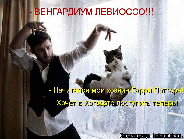 - Начитался мой хозяин Гарри Поттера! Хочет в Хогвартс поступить теперь! - ВЕНГАРДИУМ ЛЕВИОССО!!!... Котоматрица: - Начитался мой хозяин Гарри Поттера! Хочет в Хогвартс поступить теперь! - ВЕНГАРДИУМ ЛЕВИОССО!!!