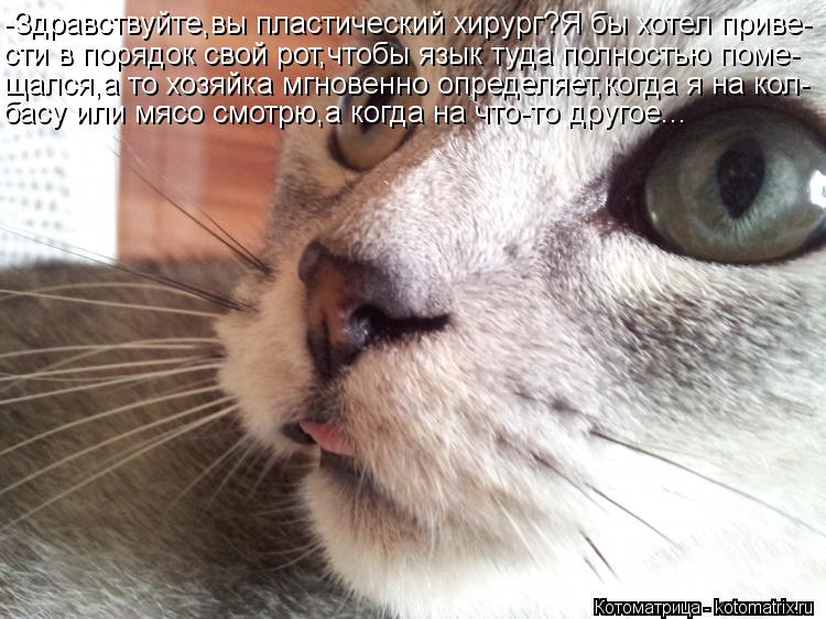 -Здравствуйте,вы пластический хирург?Я бы хотел приве- сти в порядок свой рот,чтобы язык туда полност... Котоматрица: -Здравствуйте,вы пластический хирург?Я бы хотел приве- сти в порядок свой рот,чтобы язык туда полностью поме- щался,а то хозяйка мгновенно о