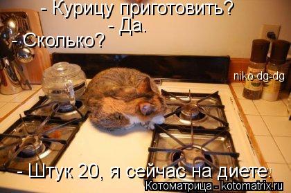 - Курицу приготовить? - Да. - Сколько? - Штук 20, я сейчас на диете. niko dg-dg... Котоматрица: - Курицу приготовить? - Да. - Сколько? - Штук 20, я сейчас на диете. niko dg-dg