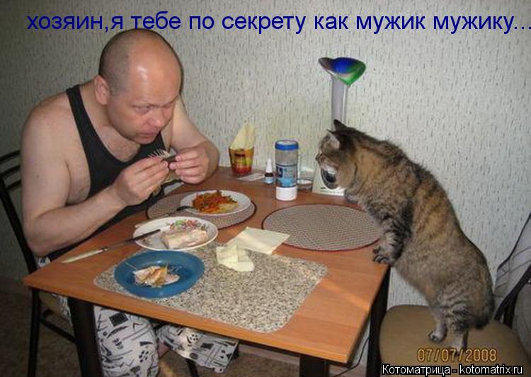 Котоматрица: хозяин,я тебе по секрету как мужик мужику...