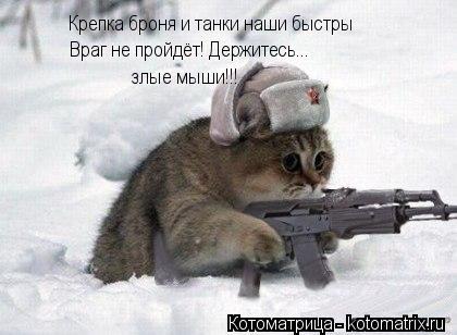 Крепка броня и танки наши быстры Враг не пройдёт! Держитесь... злые мыши!!!... Котоматрица: Крепка броня и танки наши быстры Враг не пройдёт! Держитесь... злые мыши!!!