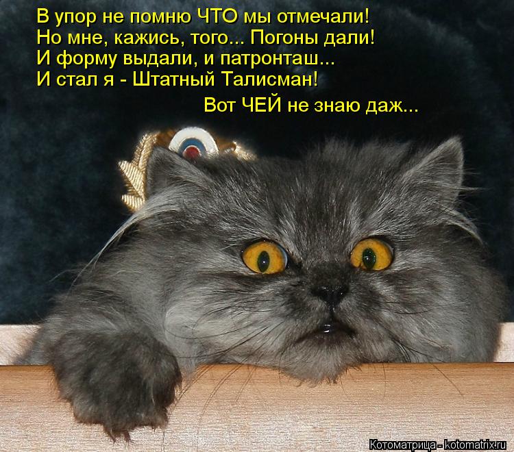 В упор не помню ЧТО мы отмечали! Но мне, кажись, того... Погоны дали! И форму выдали, и патронташ... ... Котоматрица: В упор не помню ЧТО мы отмечали! Но мне, кажись, того... Погоны дали! И форму выдали, и патронташ... И стал я - Штатный Талисман! Вот ЧЕЙ не знаю д