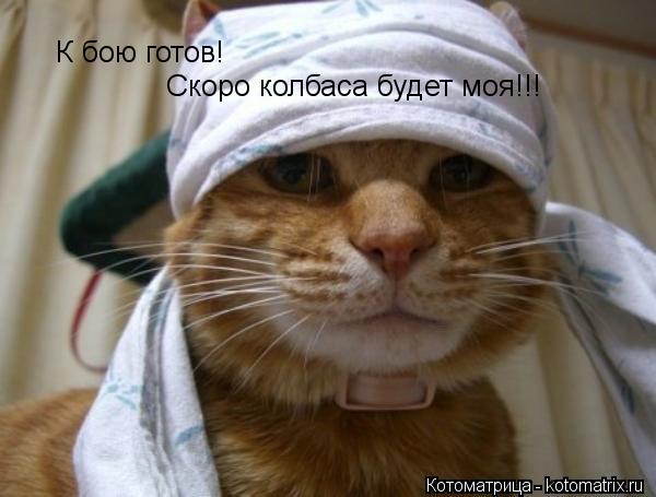 К бою готов! Скоро колбаса будет моя!!!... Котоматрица: К бою готов! Скоро колбаса будет моя!!!