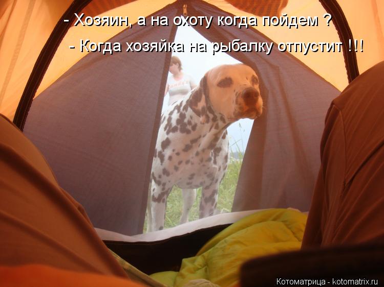 - Хозяин, а на охоту когда пойдем ? - Когда хозяйка на рыбалку отпустит !!!... Котоматрица: - Хозяин, а на охоту когда пойдем ? - Когда хозяйка на рыбалку отпустит !!!