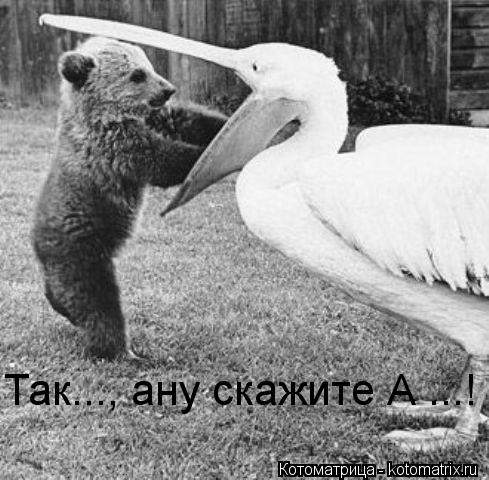 Так..., ану скажите А ...!... Котоматрица: Так..., ану скажите А ...!