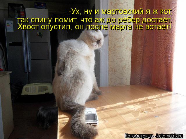 -Ух, ну и мартовский я ж кот, так спину ломит, что аж до рёбер достаёт. Хвост опустил, он после марта... Котоматрица: -Ух, ну и мартовский я ж кот, так спину ломит, что аж до рёбер достаёт. Хвост опустил, он после марта не встаёт!