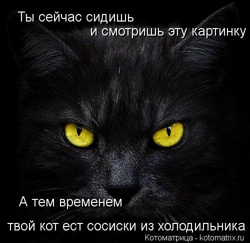 Ты сейчас сидишь и смотришь эту картинку А тем временем твой кот ест сосиски из холодильника твой ко... Котоматрица: Ты сейчас сидишь и смотришь эту картинку А тем временем твой кот ест сосиски из холодильника твой кот ест сосиски из холодильника