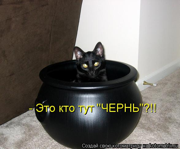 Котоматрица: - Это кто тут "ЧЕРНЬ"?!!