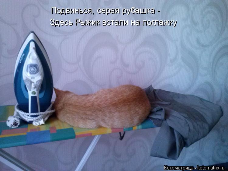 Котоматрица: Подвинься, серая рубашка - Здесь Рыжик встали на поглажку