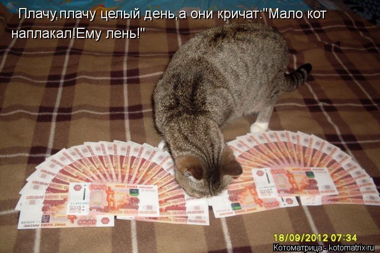 Котоматрица: Плачу,плачу целый день,а они кричат:"Мало кот  наплакал!Ему лень!"