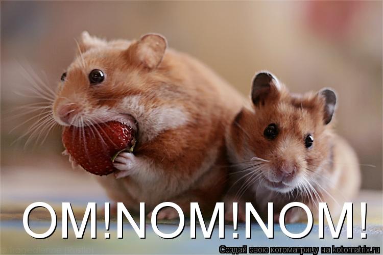 OM!NOM!NOM!... Котоматрица: OM!NOM!NOM!