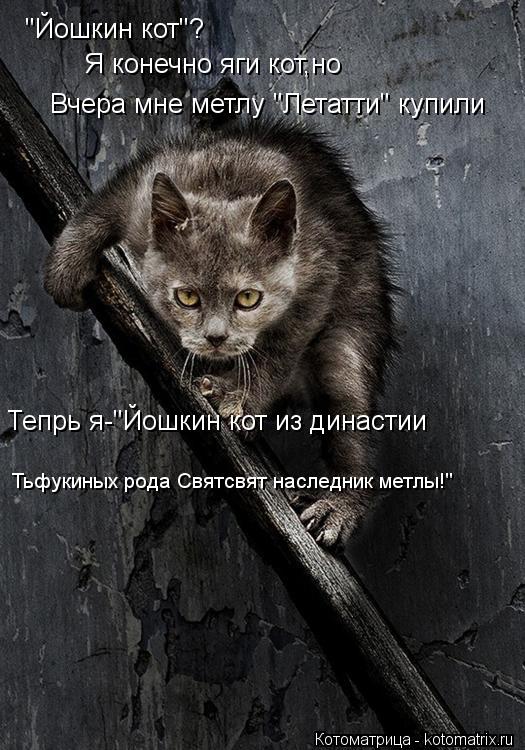 "Йошкин кот"? Я конечно яги кот,но Вчера мне метлу "Летатти" купили Тепрь я-"Йошкин кот из династии ... Котоматрица: "Йошкин кот"? Я конечно яги кот,но Вчера мне метлу "Летатти" купили Тепрь я-"Йошкин кот из династии Тьфукиных рода Святсвят наследник метлы!"