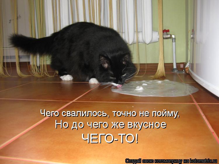 Чего свалилось, точно не пойму, Но до чего же вкусное ЧЕГО-ТО!... Котоматрица: Чего свалилось, точно не пойму, Но до чего же вкусное ЧЕГО-ТО!