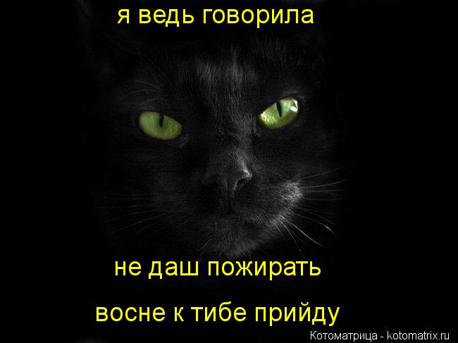 я ведь говорила не даш пожирать восне к тибе прийду... Котоматрица: я ведь говорила не даш пожирать восне к тибе прийду