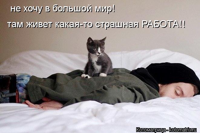 Котоматрица: не хочу в большой мир! там живет какая-то страшная РАБОТА!!