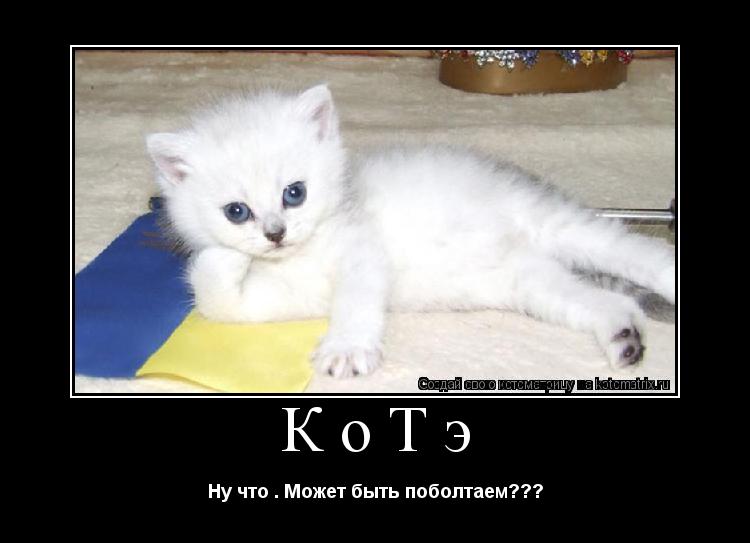 КоТэ Ну что . Может быть поболтаем???... Котоматрица: КоТэ Ну что . Может быть поболтаем???
