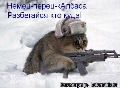 Котоматрица: Немец-перец-кАлбаса!  Разбегайся кто куда!