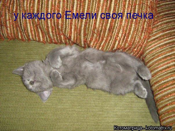 у каждого Емели своя печка... Котоматрица: у каждого Емели своя печка