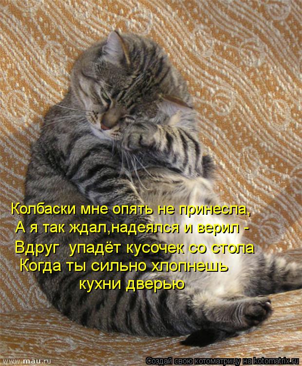 Колбаски мне опять не принесла, А я так ждал,надеялся и верил - Вдруг упадёт кусочек со стола Ко... Котоматрица: Колбаски мне опять не принесла, А я так ждал,надеялся и верил - Вдруг упадёт кусочек со стола Когда ты сильно хлопнешь кухни дверью