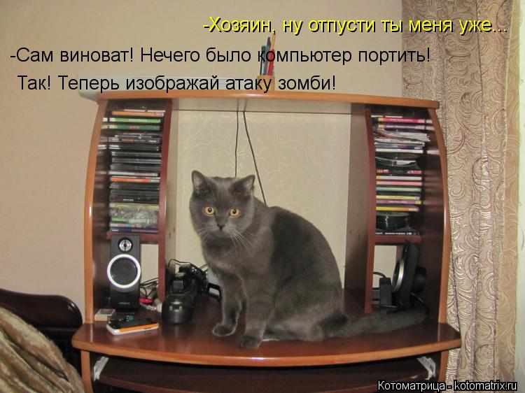 -Хозяин, ну отпусти ты меня уже... -Сам виноват! Нечего было компьютер портить! Так! Теперь изображай... Котоматрица: -Хозяин, ну отпусти ты меня уже... -Сам виноват! Нечего было компьютер портить! Так! Теперь изображай атаку зомби!