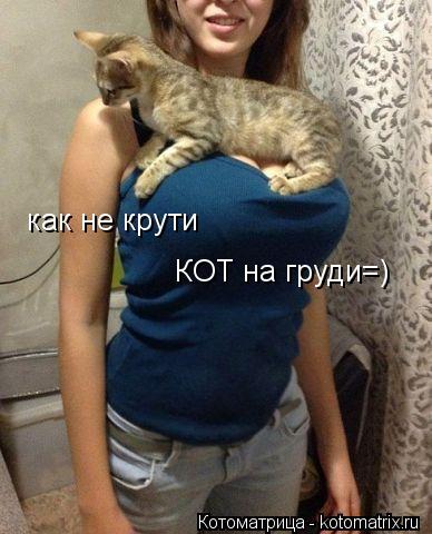 как не крути КОТ на груди=)... Котоматрица: как не крути КОТ на груди=)