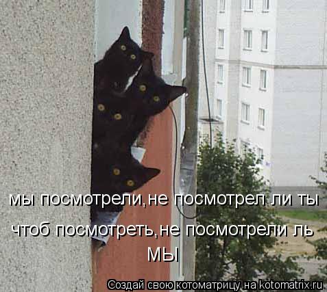 мы посмотрели,не посмотрел ли ты чтоб посмотреть,не посмотрели ль МЫ... Котоматрица: мы посмотрели,не посмотрел ли ты чтоб посмотреть,не посмотрели ль МЫ