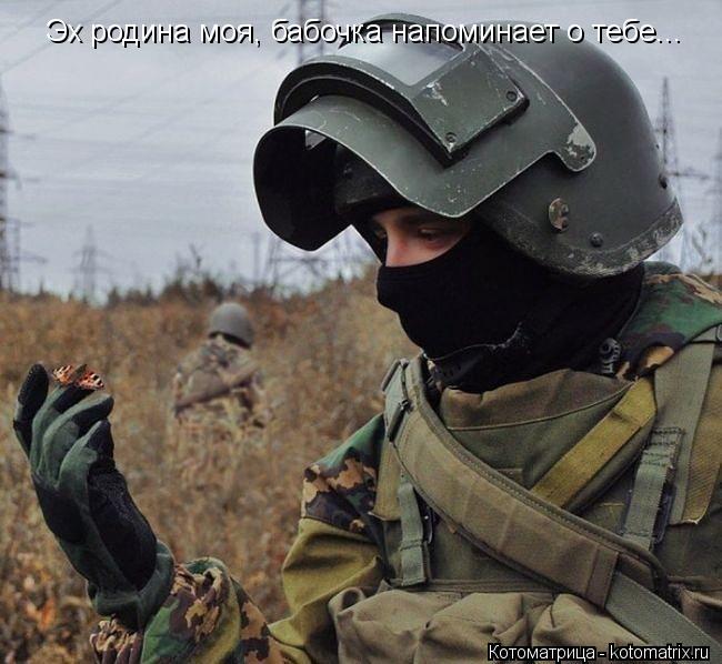 Эх родина моя, бабочка напоминает о тебе...... Котоматрица: Эх родина моя, бабочка напоминает о тебе...