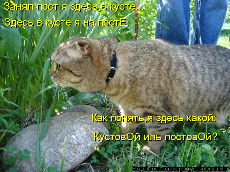 Занял пост я здесь,в кусте... Здесь в кусте я на постЕ. Как понять,я здесь какой: КустовОй иль постов... Котоматрица: Занял пост я здесь,в кусте... Здесь в кусте я на постЕ. Как понять,я здесь какой: КустовОй иль постовОй?