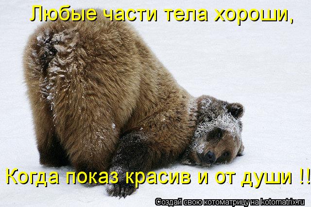 Любые части тела хороши, Когда показ красив и от души !!!... Котоматрица: Любые части тела хороши, Когда показ красив и от души !!!