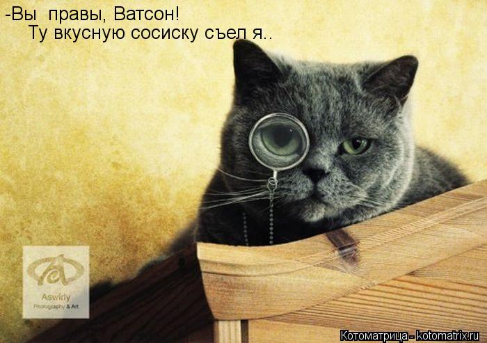 -Вы правы, Ватсон! Ту вкусную сосиску съел я..... Котоматрица: -Вы правы, Ватсон! Ту вкусную сосиску съел я..