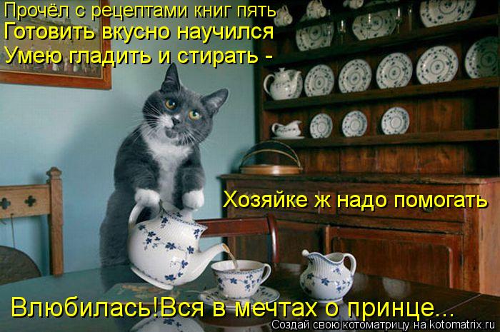 Прочёл с рецептами книг пять Готовить вкусно научился Умею гладить и стирать - Хозяйке ж надо помогат... Котоматрица: Прочёл с рецептами книг пять Готовить вкусно научился Умею гладить и стирать - Хозяйке ж надо помогать Влюбилась!Вся в мечтах о принце...