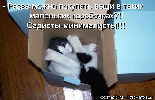 - Разве можно покупать вещи в таких маленьких коробочках?!! Садисты-минималисты!!!... Котоматрица: - Разве можно покупать вещи в таких маленьких коробочках?!! Садисты-минималисты!!!