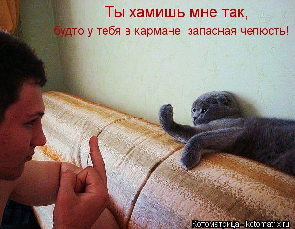 Котоматрица: Ты хамишь мне так, будто у тебя в кармане  запасная челюсть!