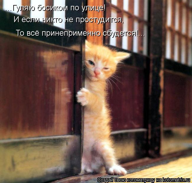 ...Гуляю босиком по улице! И если никто не простудится, То всё принеприменно сбудется!...... Котоматрица: ...Гуляю босиком по улице! И если никто не простудится, То всё принеприменно сбудется!...
