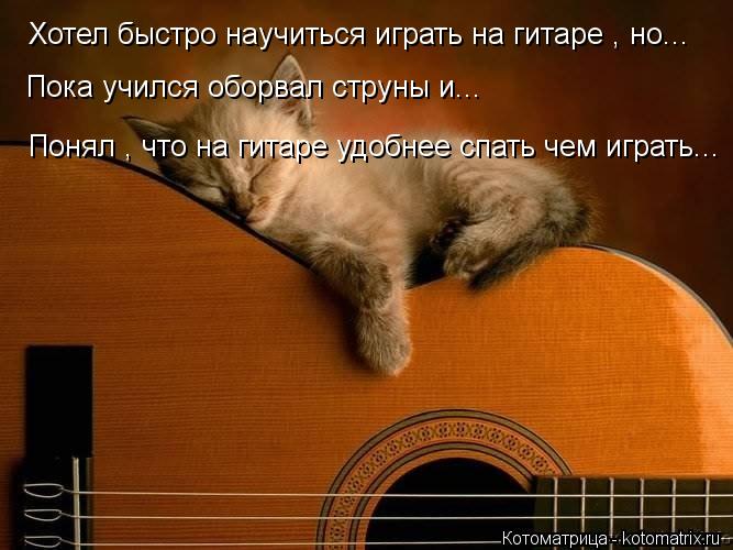 Хотел быстро научиться играть на гитаре , но... Пока учился оборвал струны и... Понял , что на гитаре... Котоматрица: Хотел быстро научиться играть на гитаре , но... Пока учился оборвал струны и... Понял , что на гитаре удобнее спать чем играть...