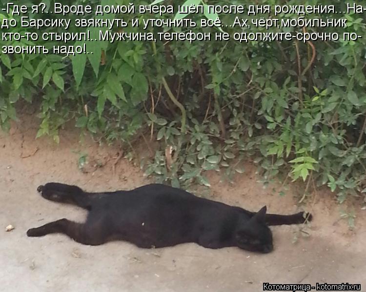 Котоматрица: -Где я?..Вроде домой вчера шёл после дня рождения...На- до Барсику звякнуть и уточнить всё...Ах,чёрт,мобильник кто-то стырил!..Мужчина,телефон н