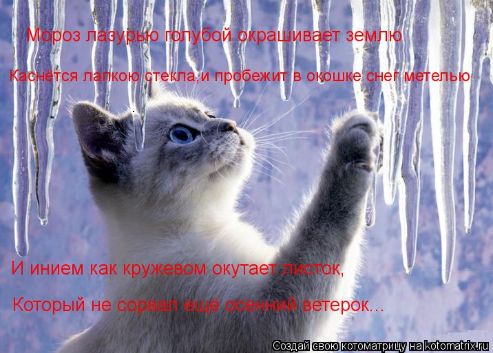 Мороз лазурью голубой окрашивает землю Каснётся лапкою стекла,и пробежит в окошке снег метелью И иние... Котоматрица: Мороз лазурью голубой окрашивает землю Каснётся лапкою стекла,и пробежит в окошке снег метелью И инием как кружевом окутает листок, Которы